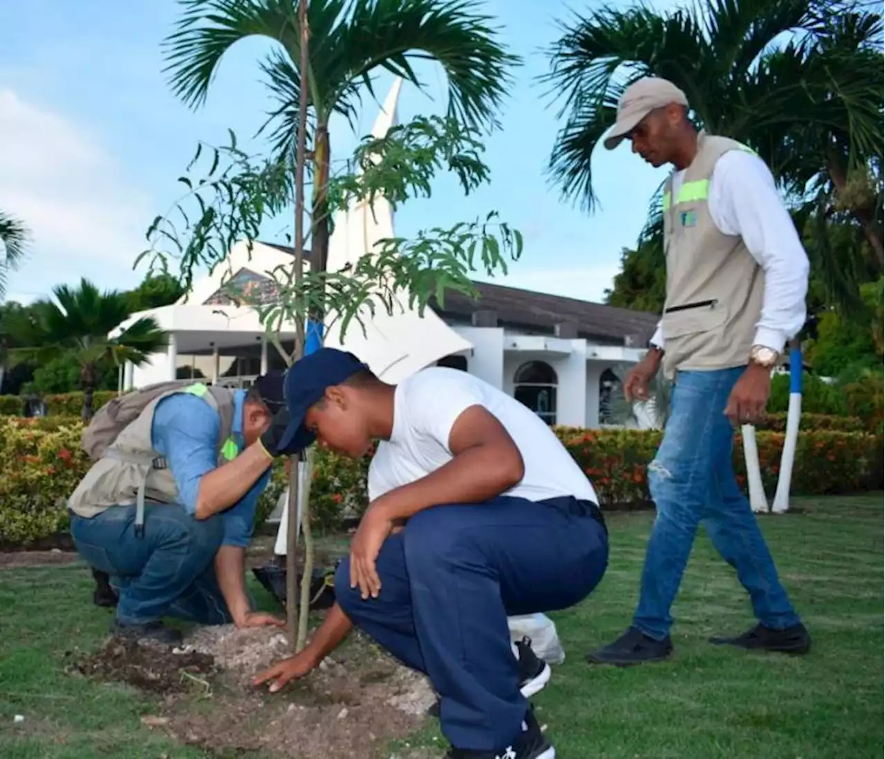 Casi 200 árboles frutales y maderables fueron plantados en la Isla de Manzanillo