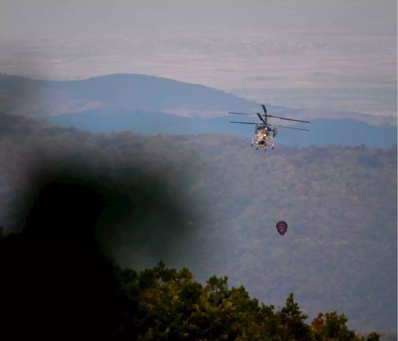 Incendios en Grecia: los fuegos en Evros se reactivan, hay riesgo de extensión