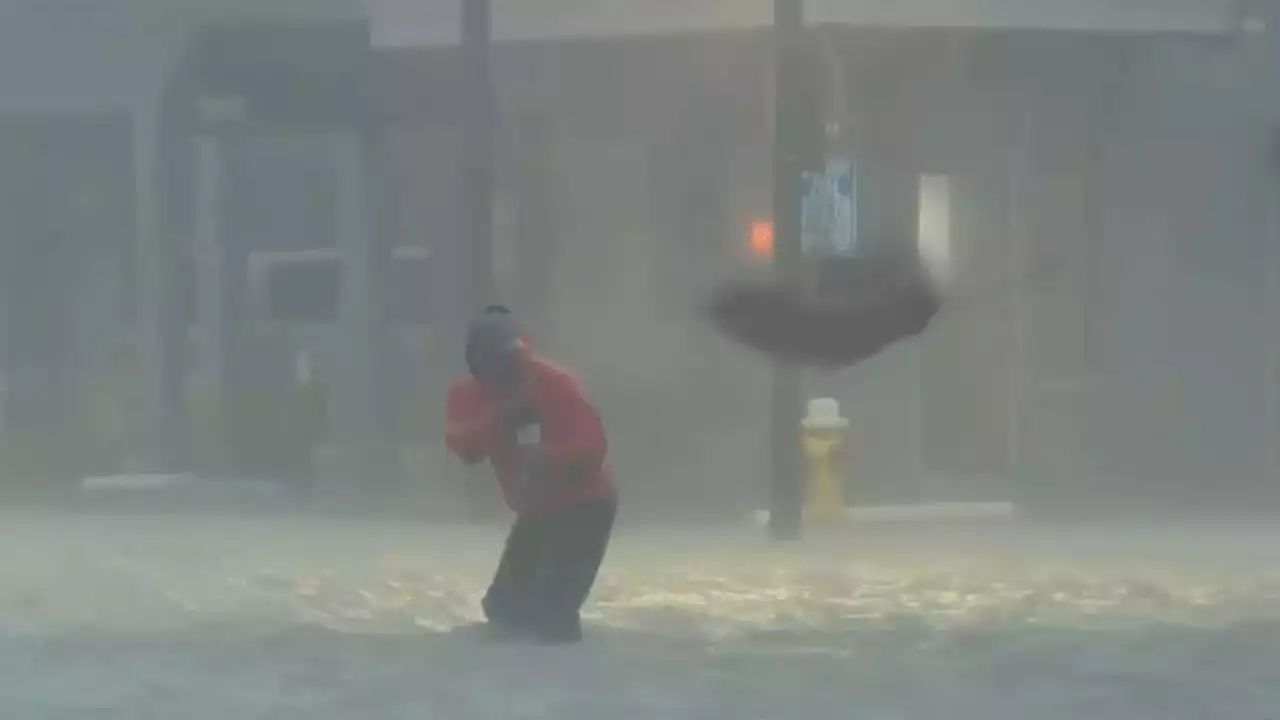 FOX Weather reporter caught in strong flood water dodges palm tree debris