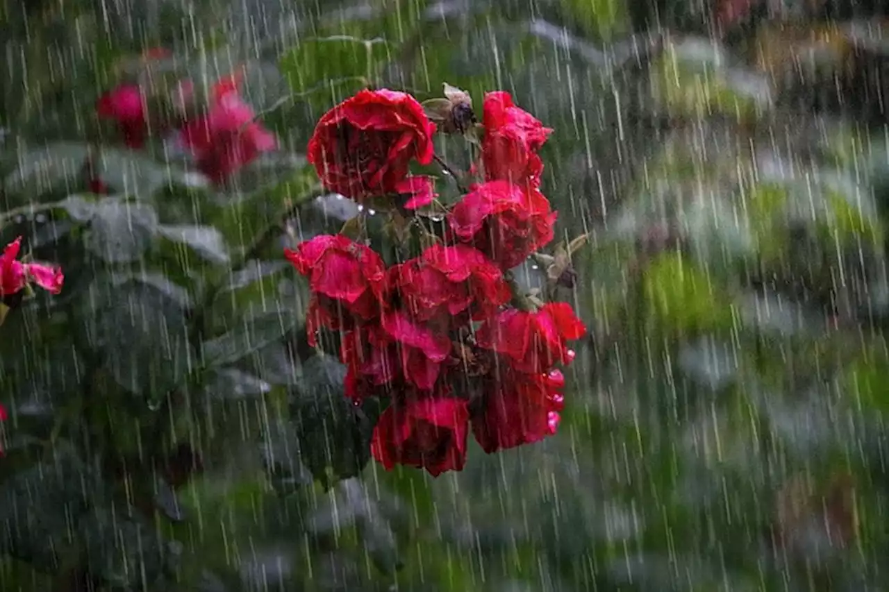 Météo, prévisions pour le jeudi 31 août en Normandie