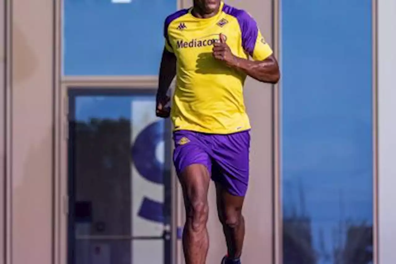 La demora lo perjudica: ¿por qué no debuta Yerry Mina en Fiorentina?