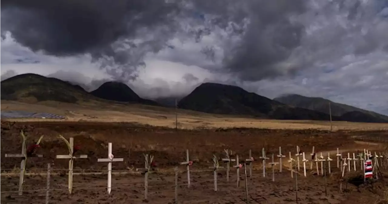 Maui wildfires: Final death toll unclear as search for missing nears end