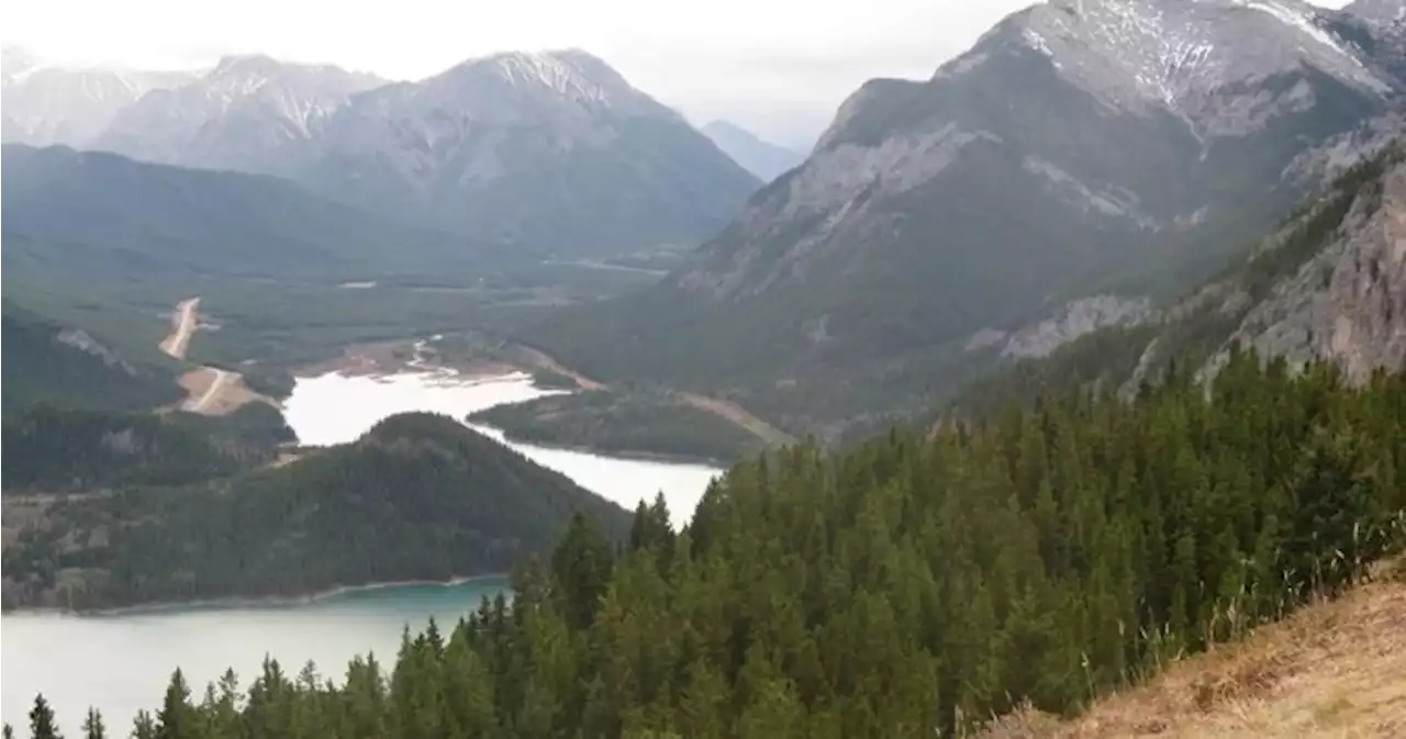 Ottawa investigating logging company over bridge in Alberta’s Kananaskis Country