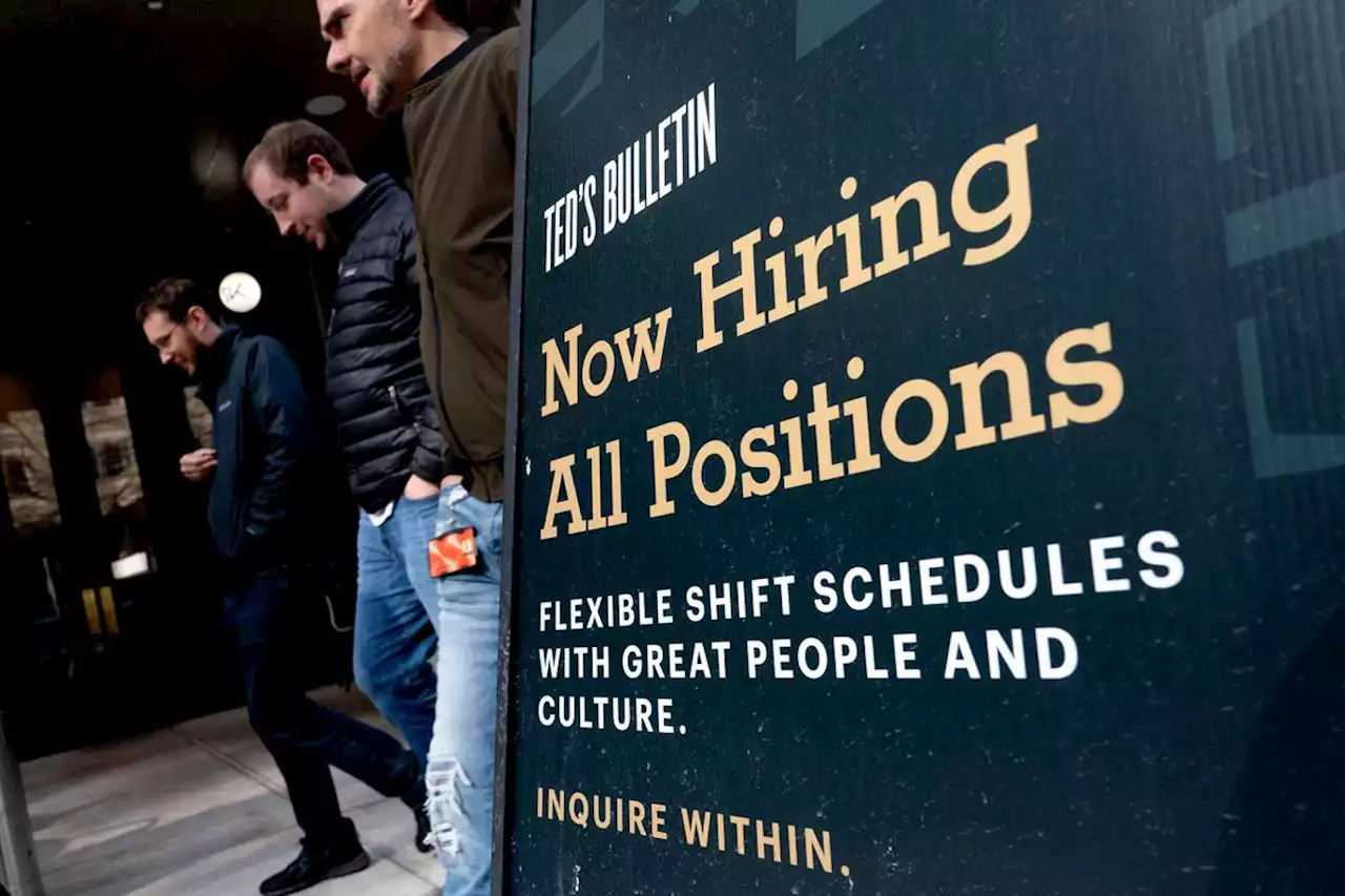 U.S. private payrolls growth slows sharply in August, ADP report shows