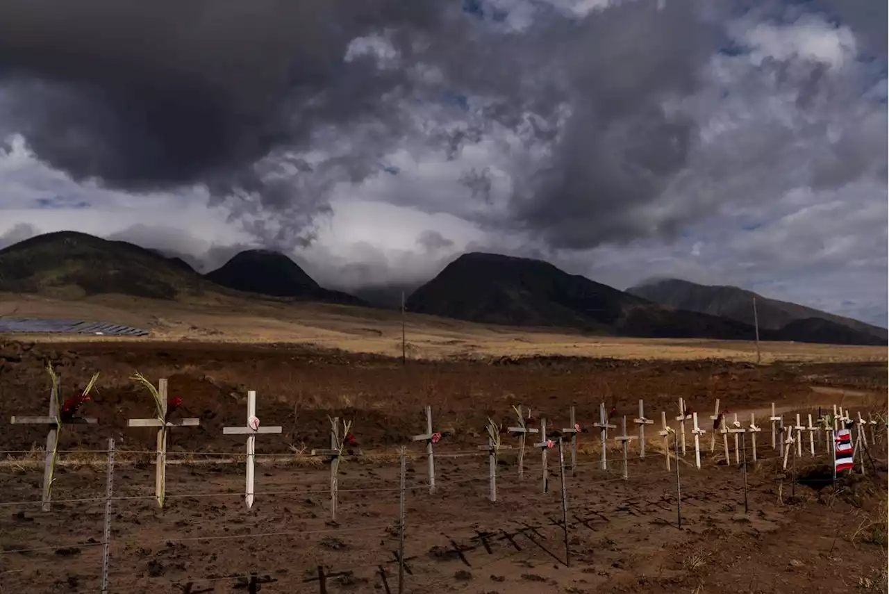 Unclear how many in Lahaina lost lives as Hawaii authorities near the end of their search for dead