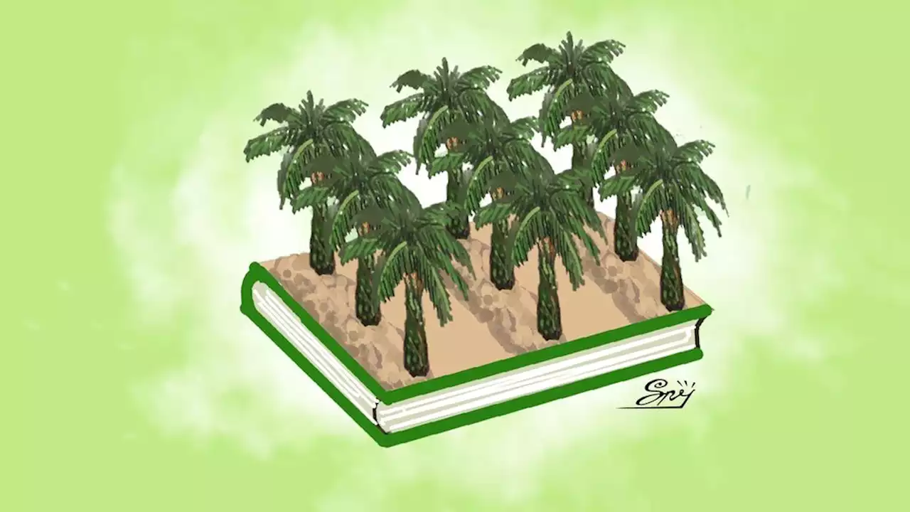 Additional Effects of Palm Oil Bleaching in Forest Areas