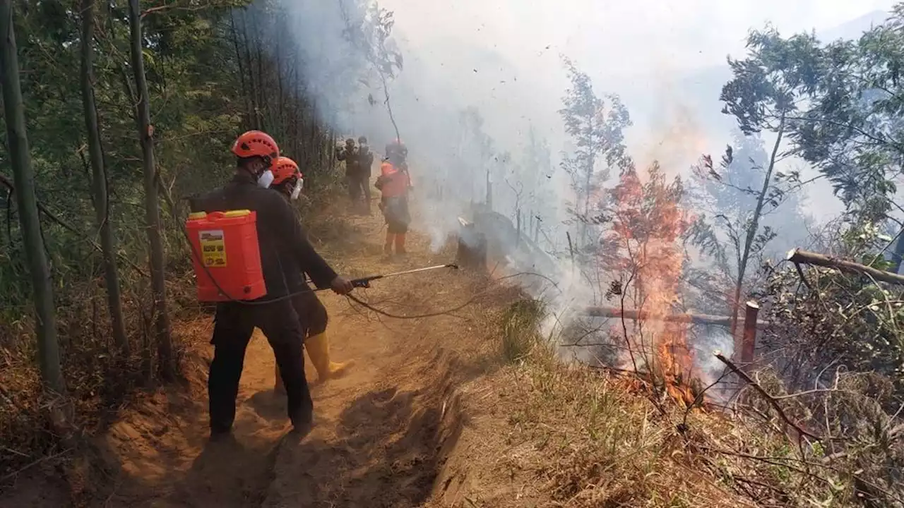 Strong Winds, Fires on the Semeru Slopes Difficult to Extinguish