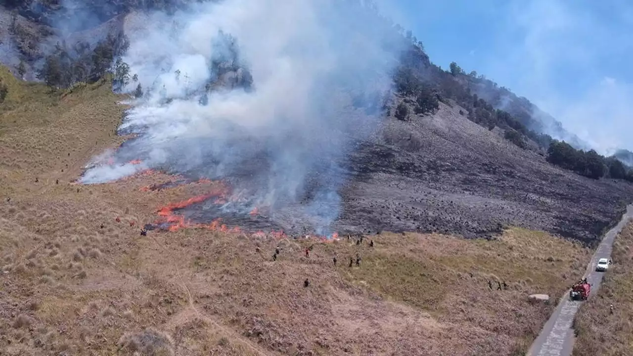 The savanna of Bromo Tengger Semeru National Park is on fire