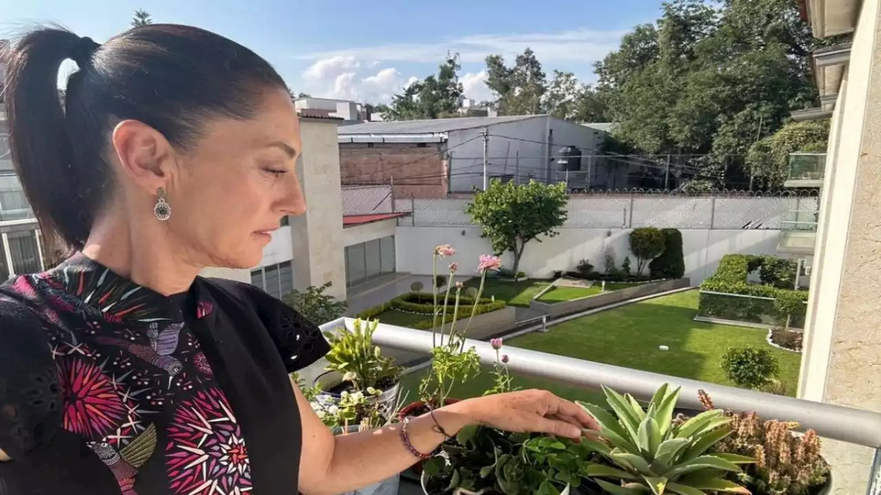 Claudia Sheinbaum muestra a sus seguidores parte de su jardín en casa