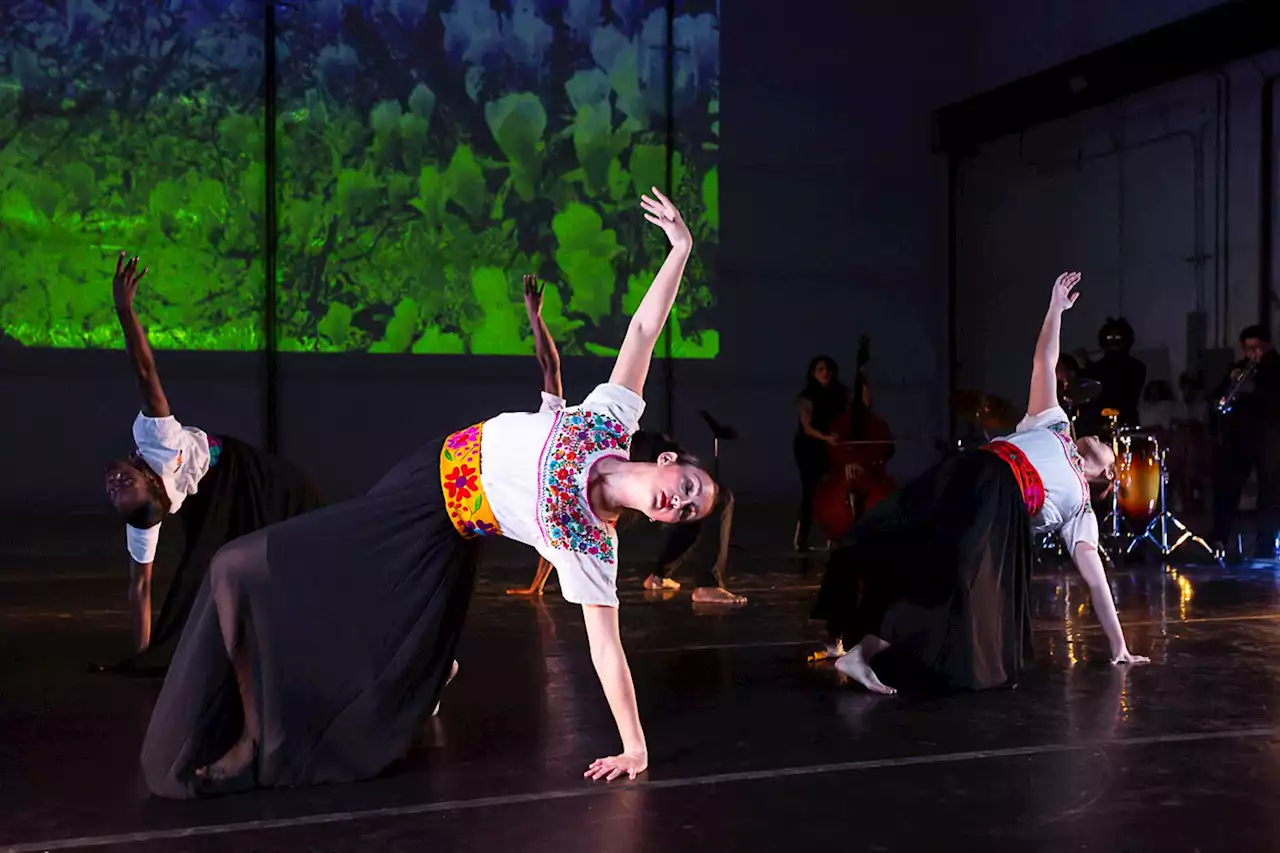 Celebrate Latinx Dance and Identity at the Texas Latino/a/x Contemporary Dance Festival