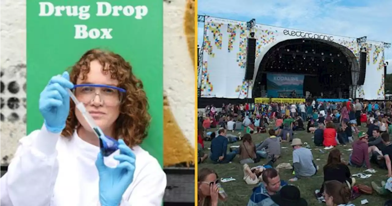 Electric Picnic drug surrender bins to be in operation but no amnesty