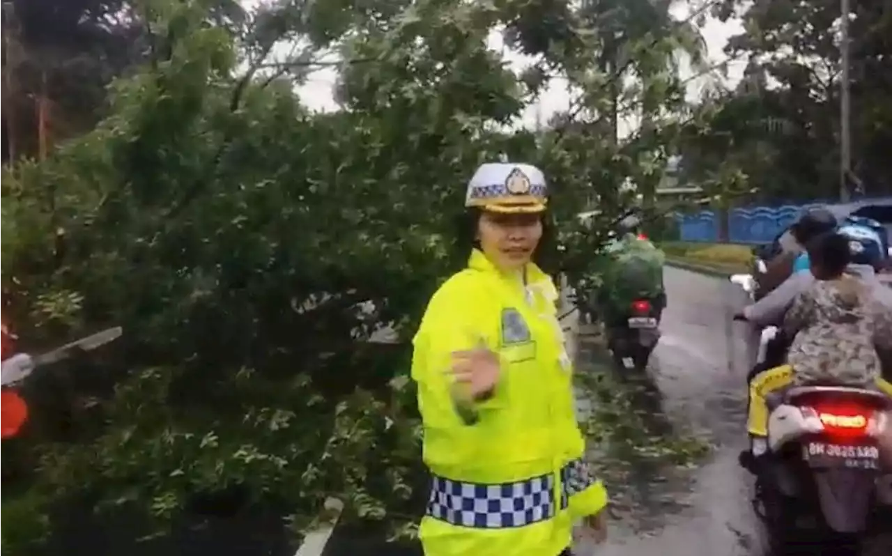 Cuaca Ekstrem di Pekanbaru Akibatkan Pohon Tumbang, Polwan Ini Langsung Turun Tangan