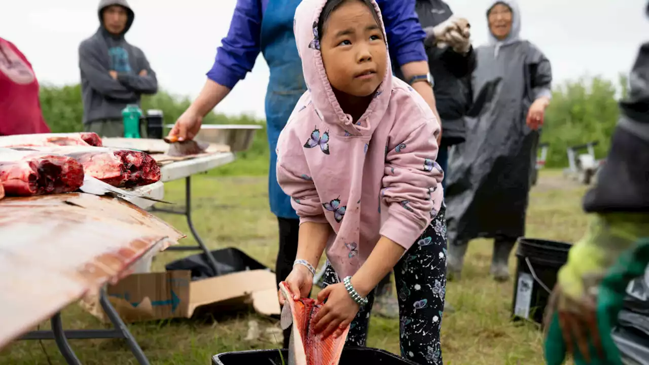 An Alaska district aligns its school year with traditional subsistence harvests