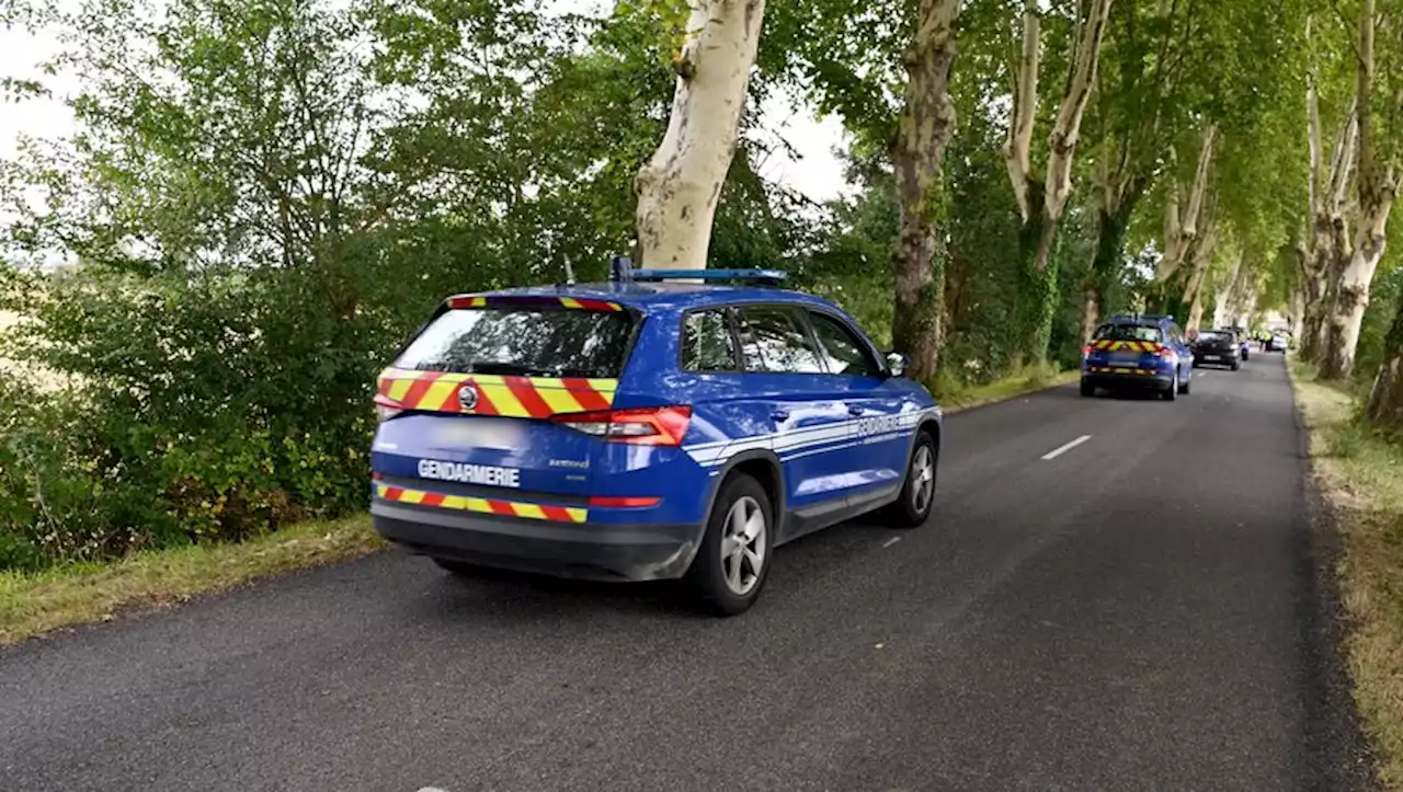 A69 : Une centaine de gendarmes surveille la commune de Vendine pour éviter le retour des militants