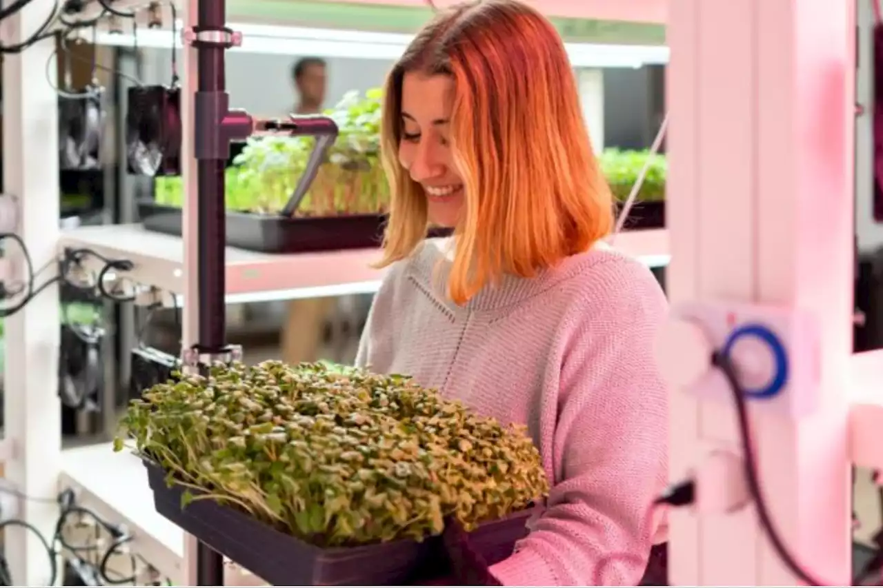 En qué consiste la “cuarta revolución” que pretende transformar la producción de alimentos