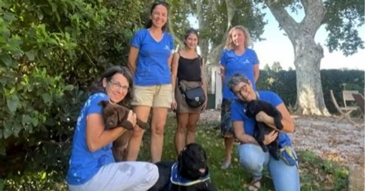 Salon-de-Provence : l'association Handi'Chiens forme des chiens d'assistance pour les personnes handicapées