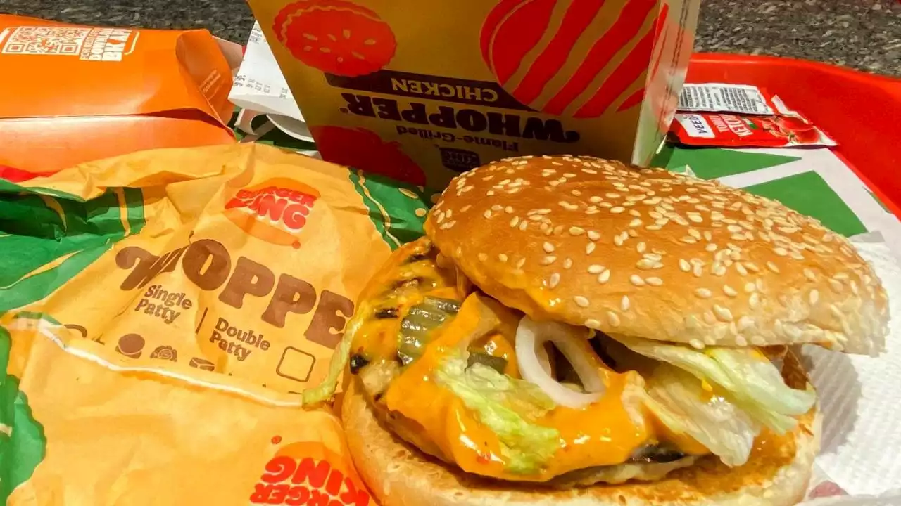 Stati Uniti, al via la class action contro il Whopper di Burger king: “Troppo piccolo, le foto sono ingannevoli”