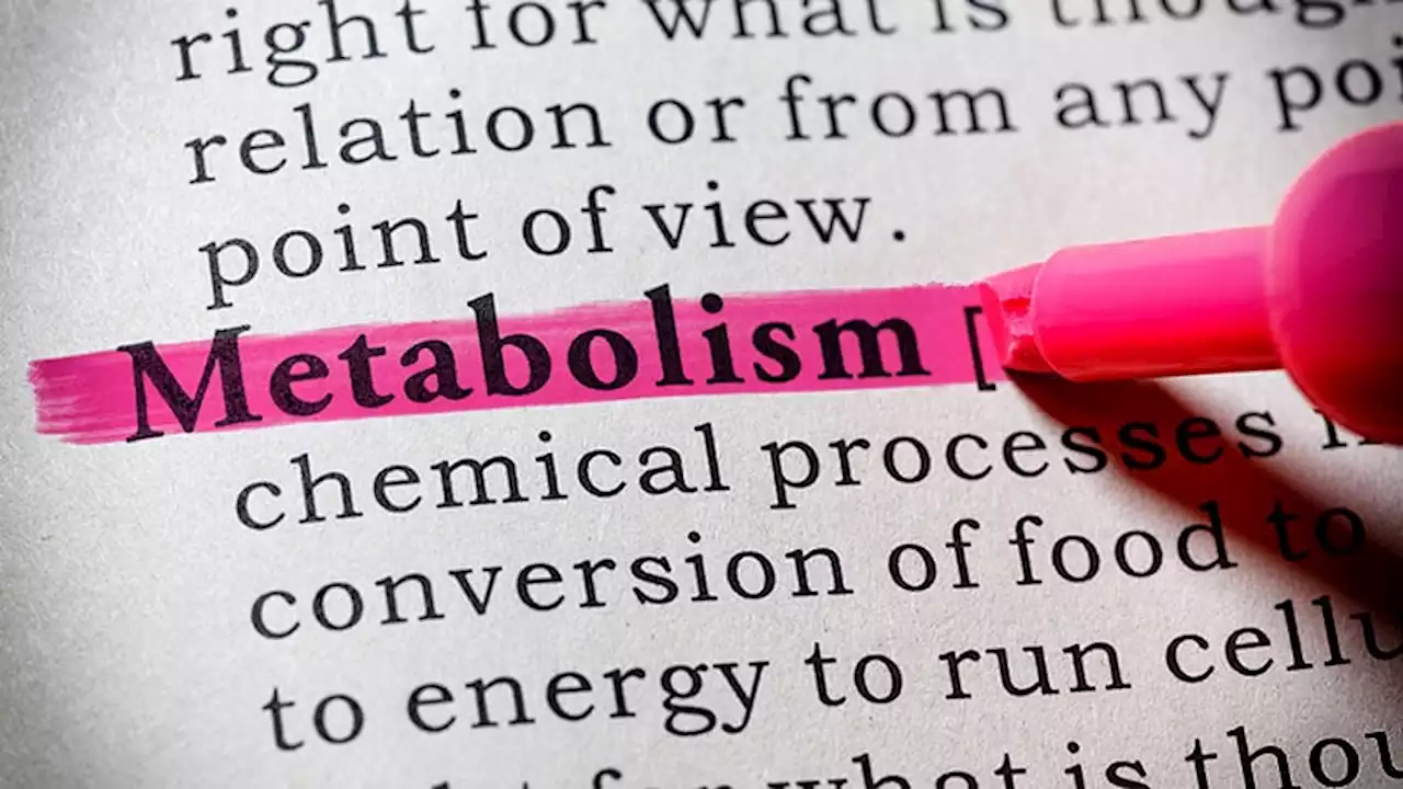 Metabolic Inflexibility: More Than 'Energy In, Energy Out'