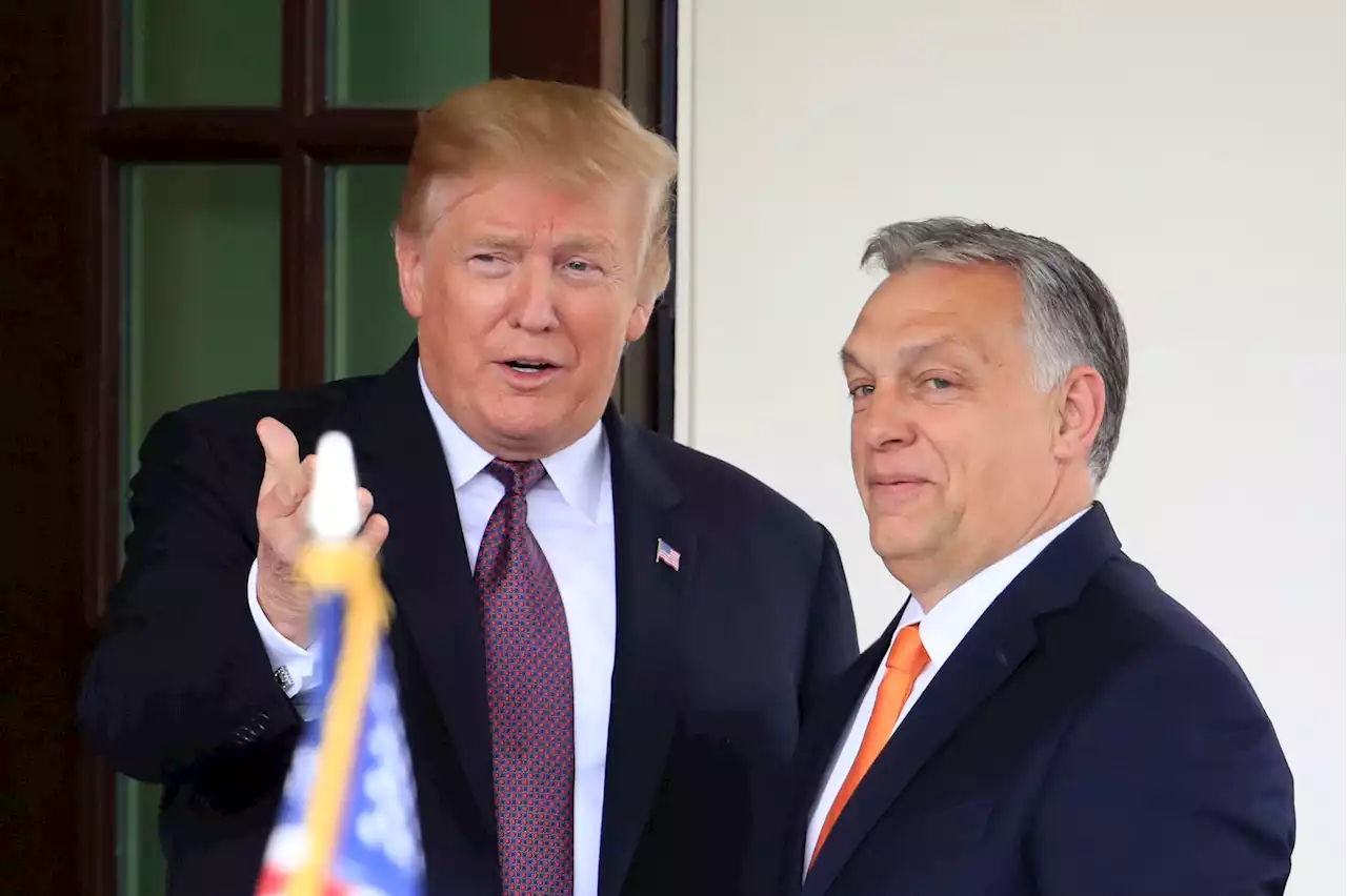 Frieden in der Ukraine? Orban setzt auf Trump