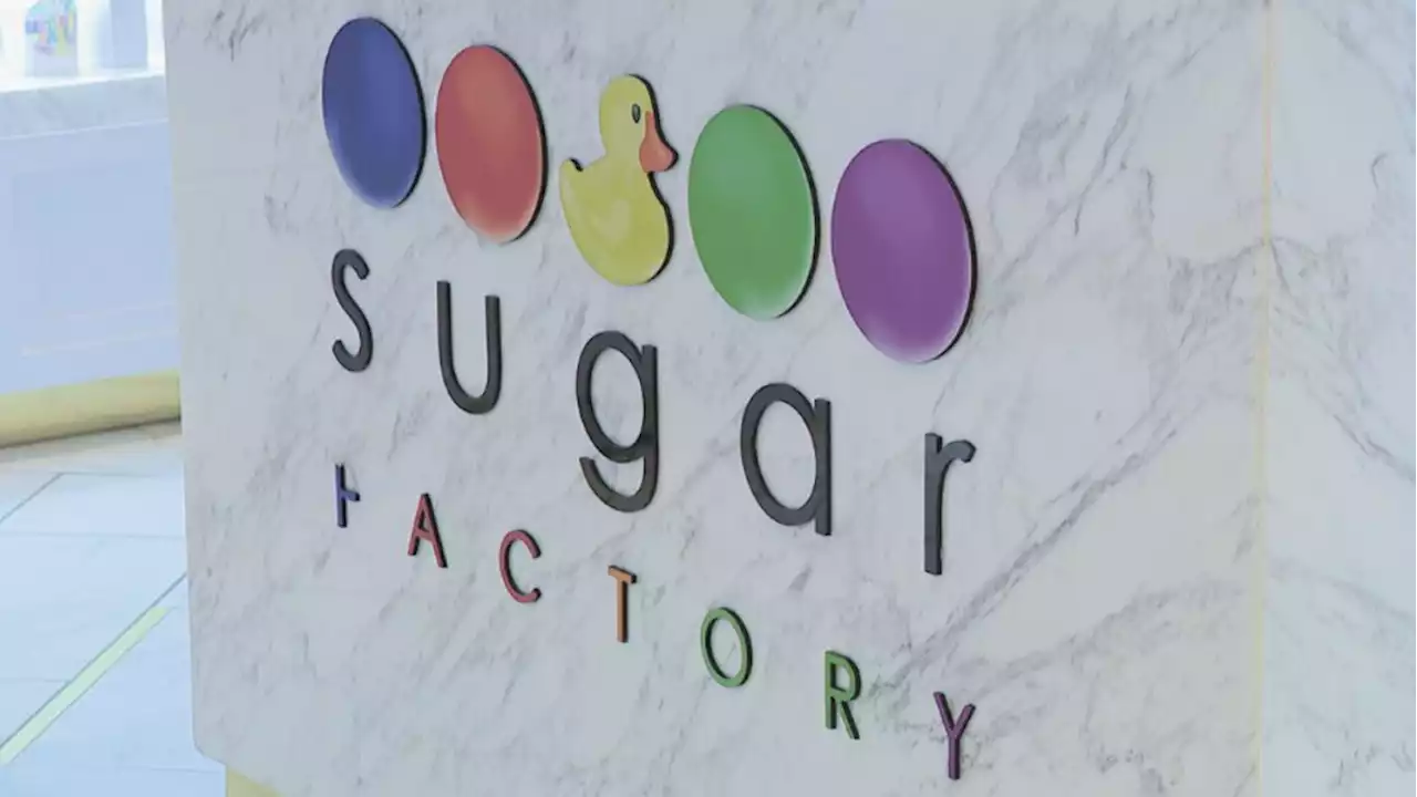 Sugar Factory donates thousands to Texas Yes Project from milkshake sales