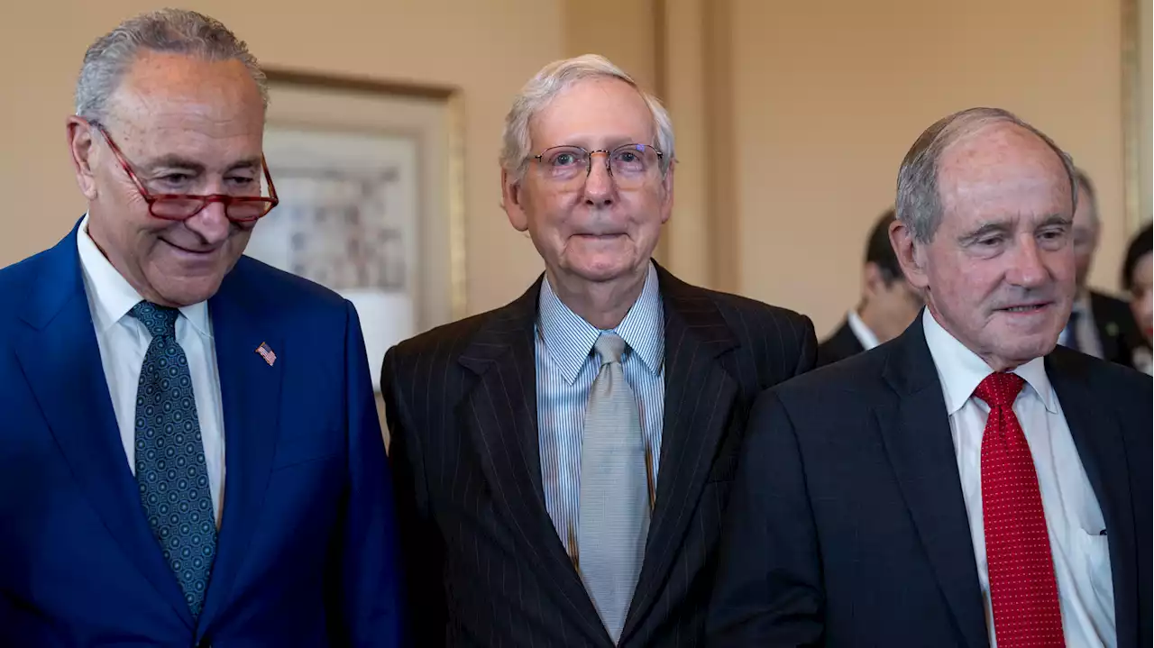 Mitch McConnell appears to freeze again while talking to reporters in Kentucky