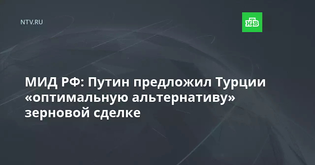 МИД РФ: Путин предложил Турции «оптимальную альтернативу» зерновой сделке