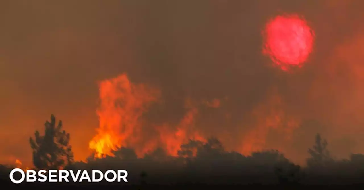 Cerca de 40 concelhos de seis distritos em perigo máximo de incêndio