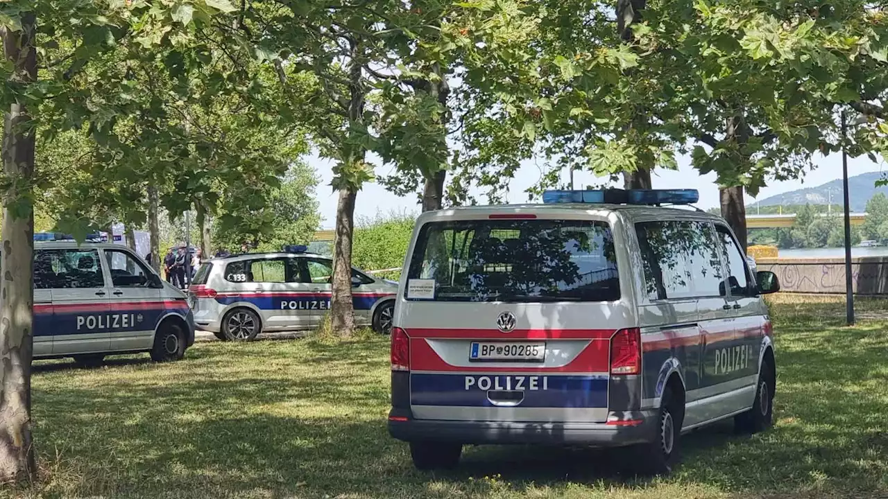 Toter Obdachloser im Schlaf am Wienerberg