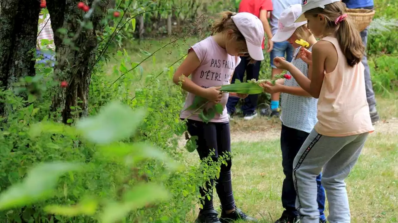 Parthenay. Classe dehors, verdure : dans cette école, « on veut retrouver du lien avec la nature »