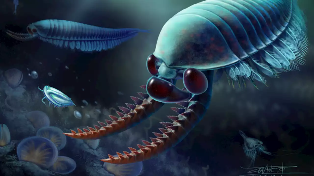 A three-eyed organism roamed the seas half a billion years ago