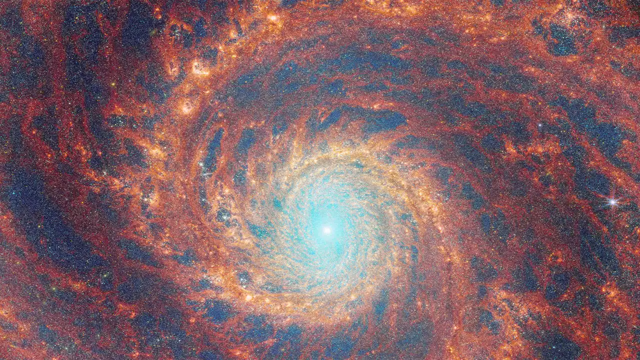 The Whirlpool Galaxy's buff, spiral arms grab JWST's attention