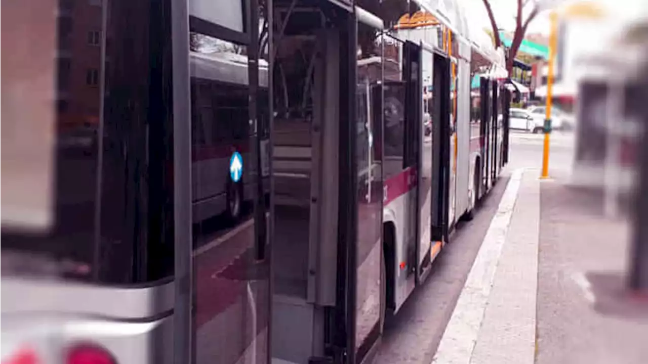 'Accosta e fammi salire sull'autobus' conducente Atac preso a pugni a Trastevere