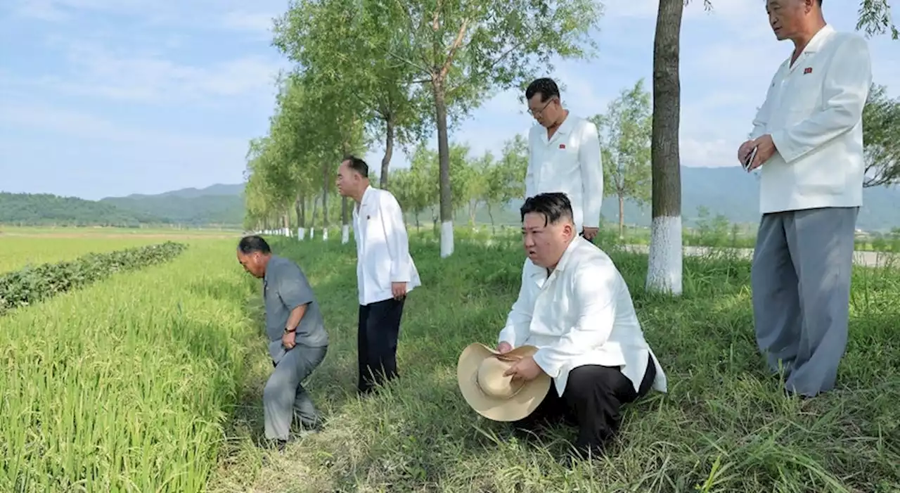 Coreia do Norte procede ao lançamento de mísseis após exercícios americanos