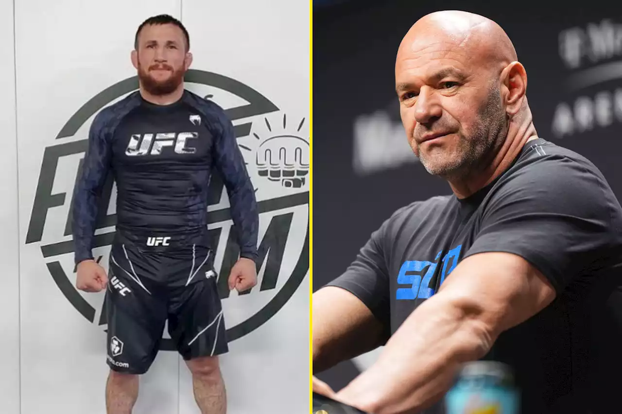 Dana White blasts UFC fighter and questions desire to fight after turning down title shot