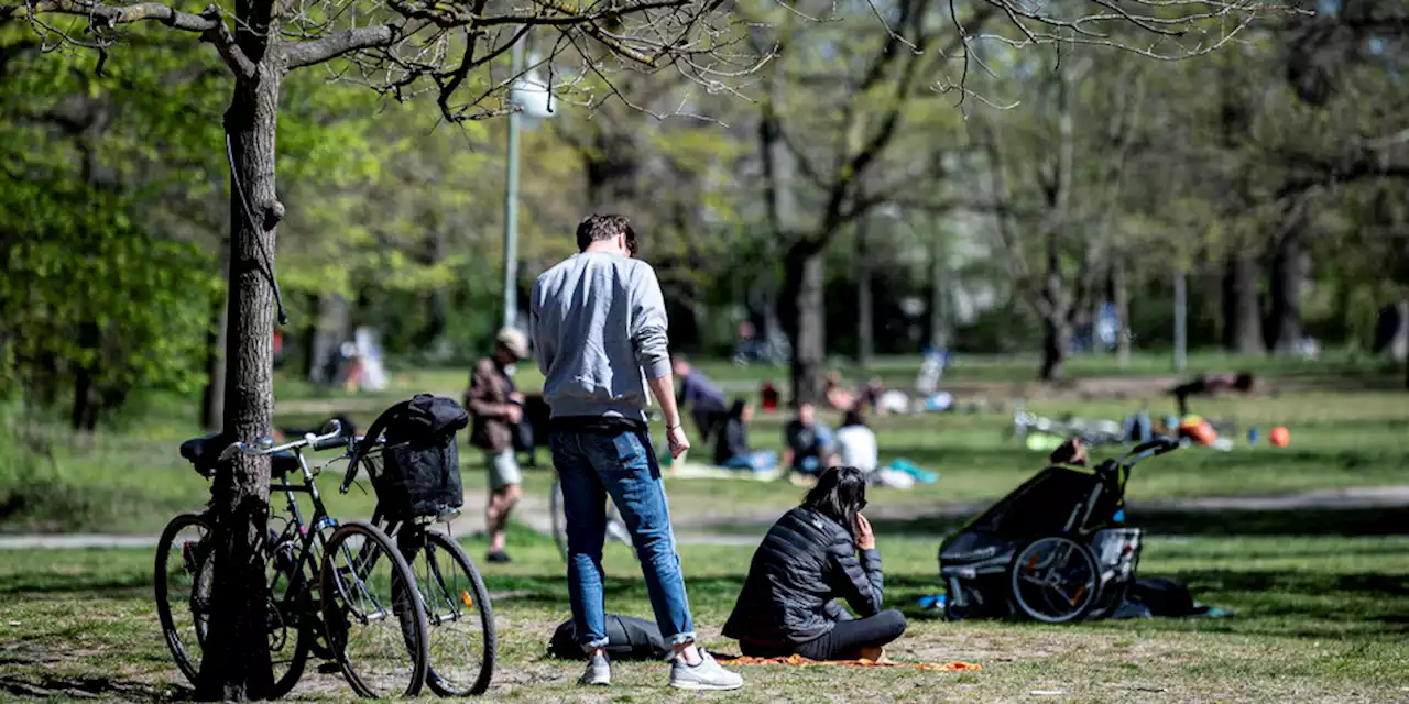 Sommerserie „Wie riecht Berlin“ (6): Cool bleiben in der Hasenheide