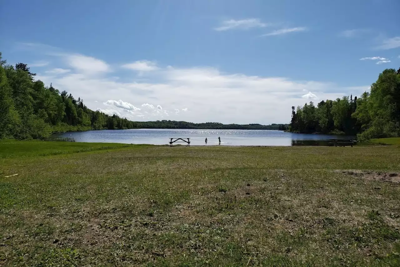 Blue-green algae found at Hazelwood Lake