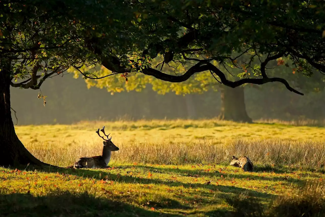 Latest Met Office predictions for UK's September forecast and when it will stop raining