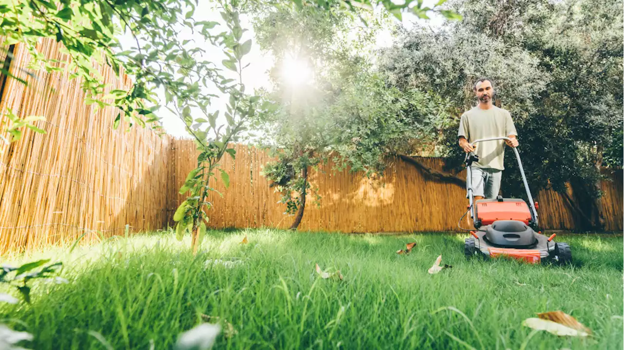 Save big on electric lawn care tools for Labor Day