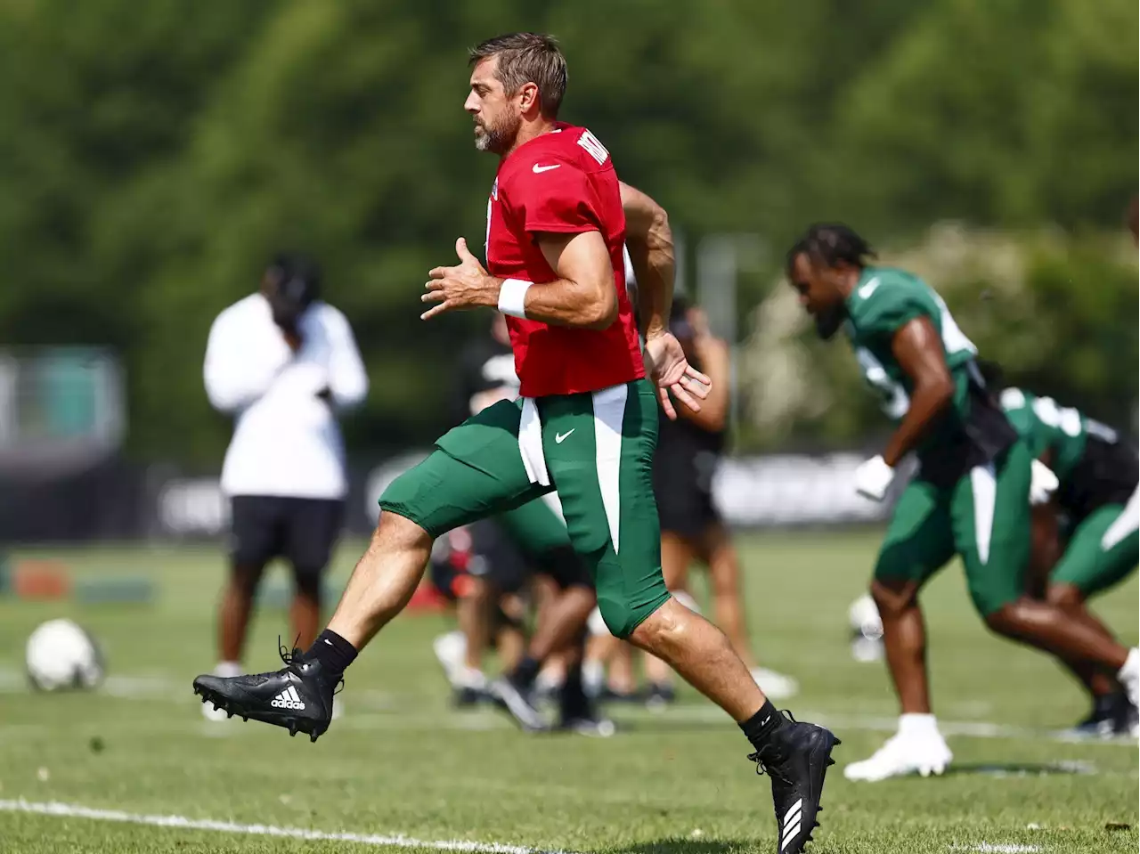 Aaron Rodgers's delightful taunts are the highlight of latest 'Hard Knocks'