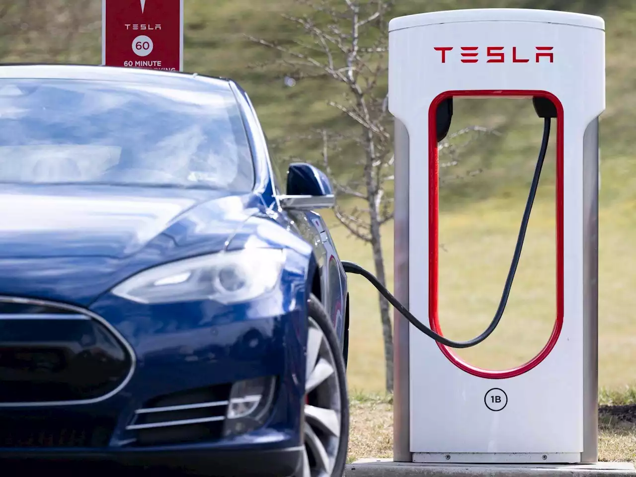 GUNTER: Ridiculous bans and EV targets are the last straw