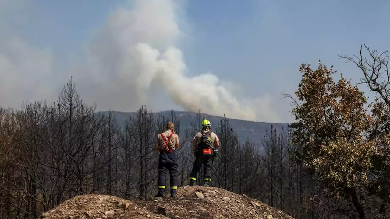 Europe's largest wildfire in northeastern Greece burning for 12th day