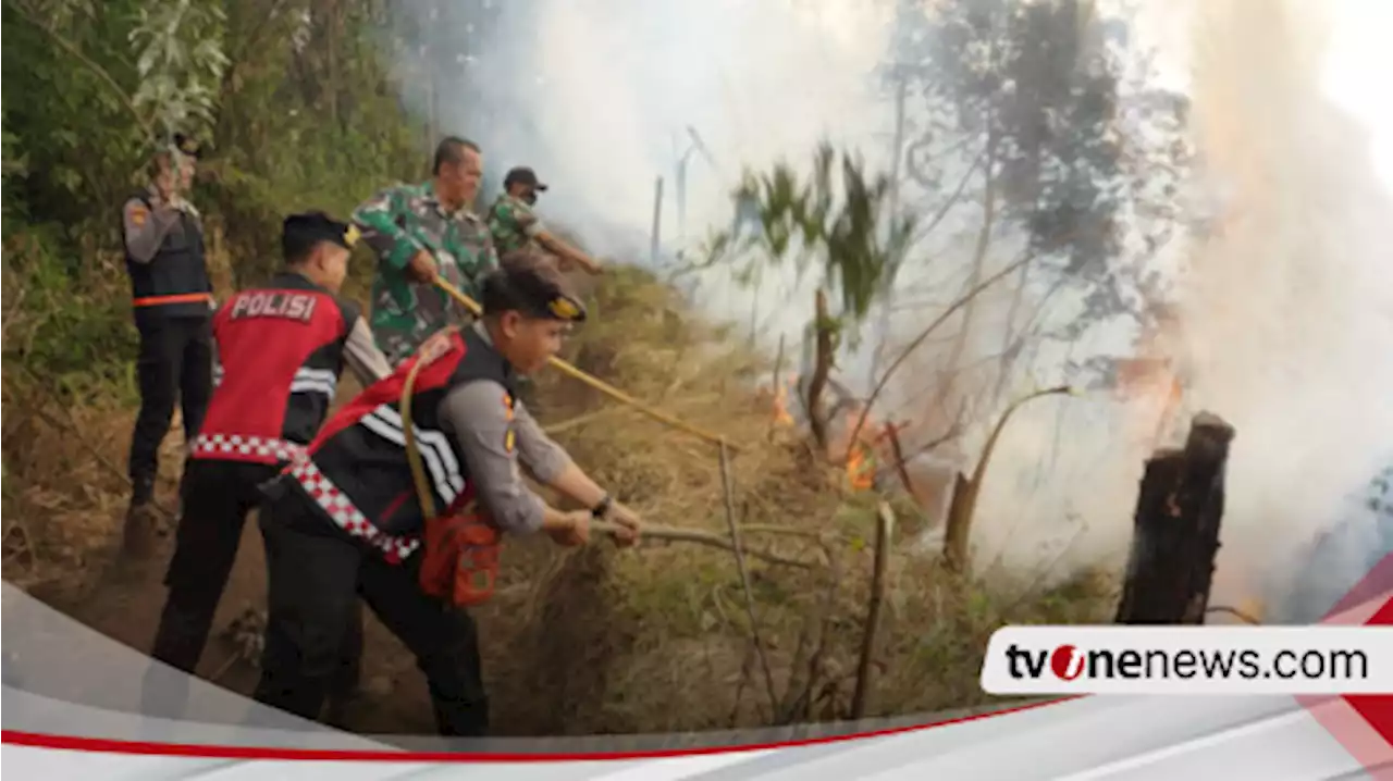 Kebakaran Kawasan Taman Nasional Bromo Tengger Semeru Semakin Meluas dan Sulit Dipadamkan, Ini Penyebabnya