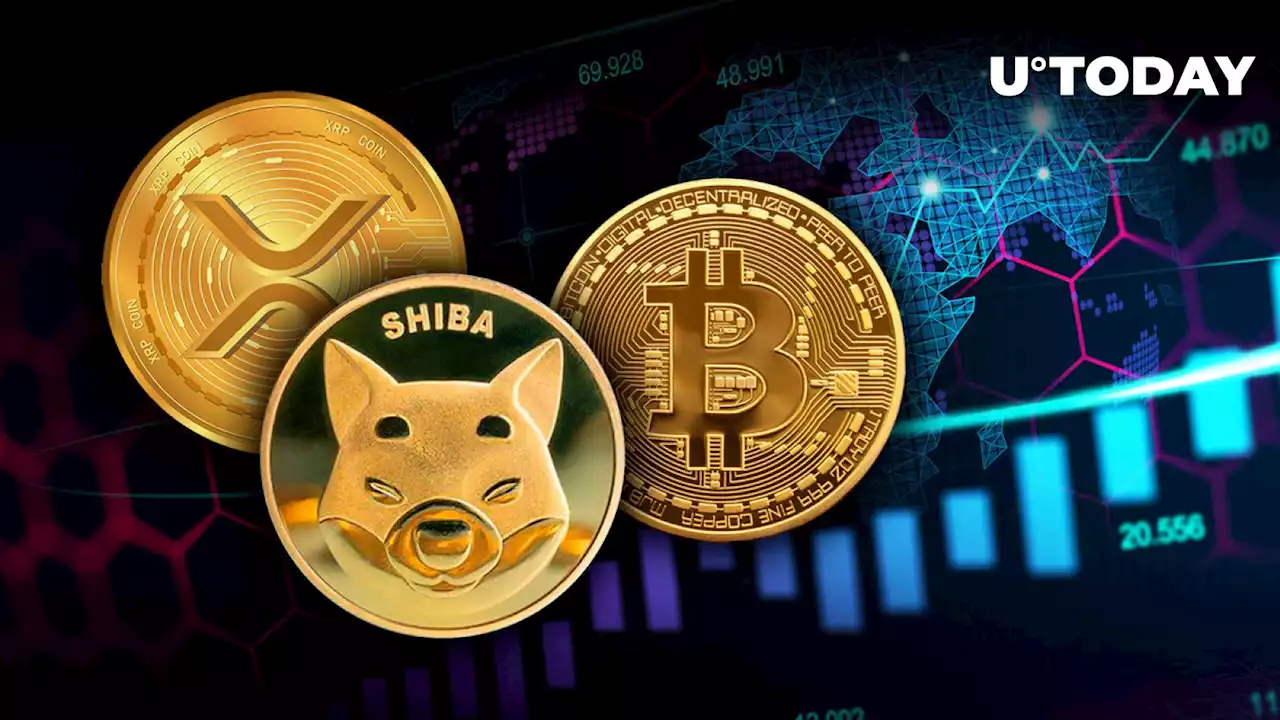 SHIB, XRP, BTC Adoption to Expand in Nine Countries Thanks to This Partnership