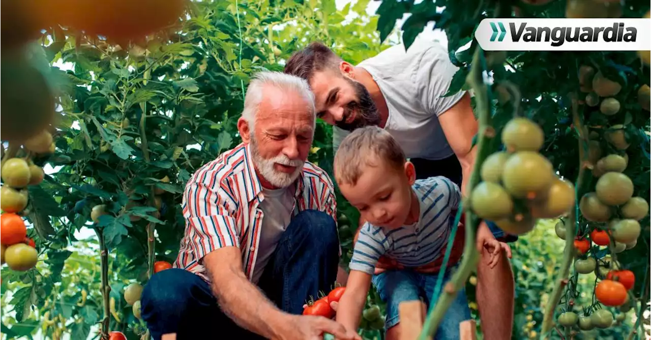 “Santander sin límites”: Tejiendo redes de apoyo para la inclusión de nuestros abuelitos