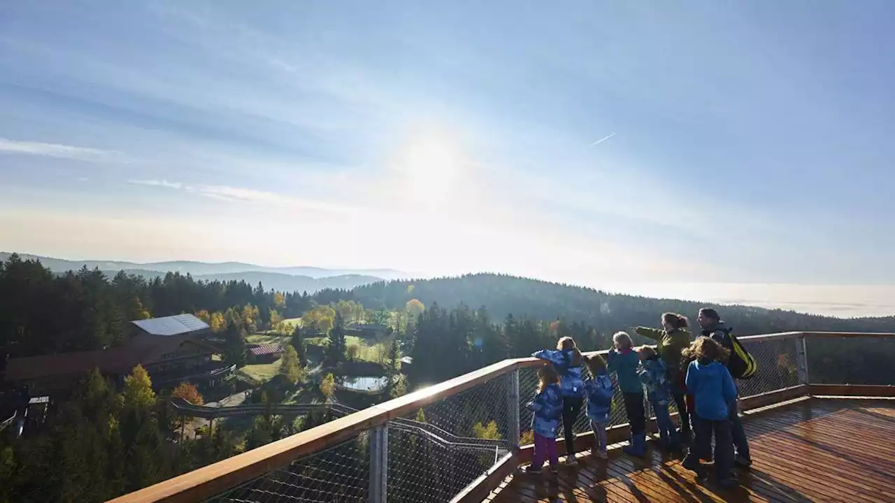 bayerische wald: unterwegs im freizeitspaß-land