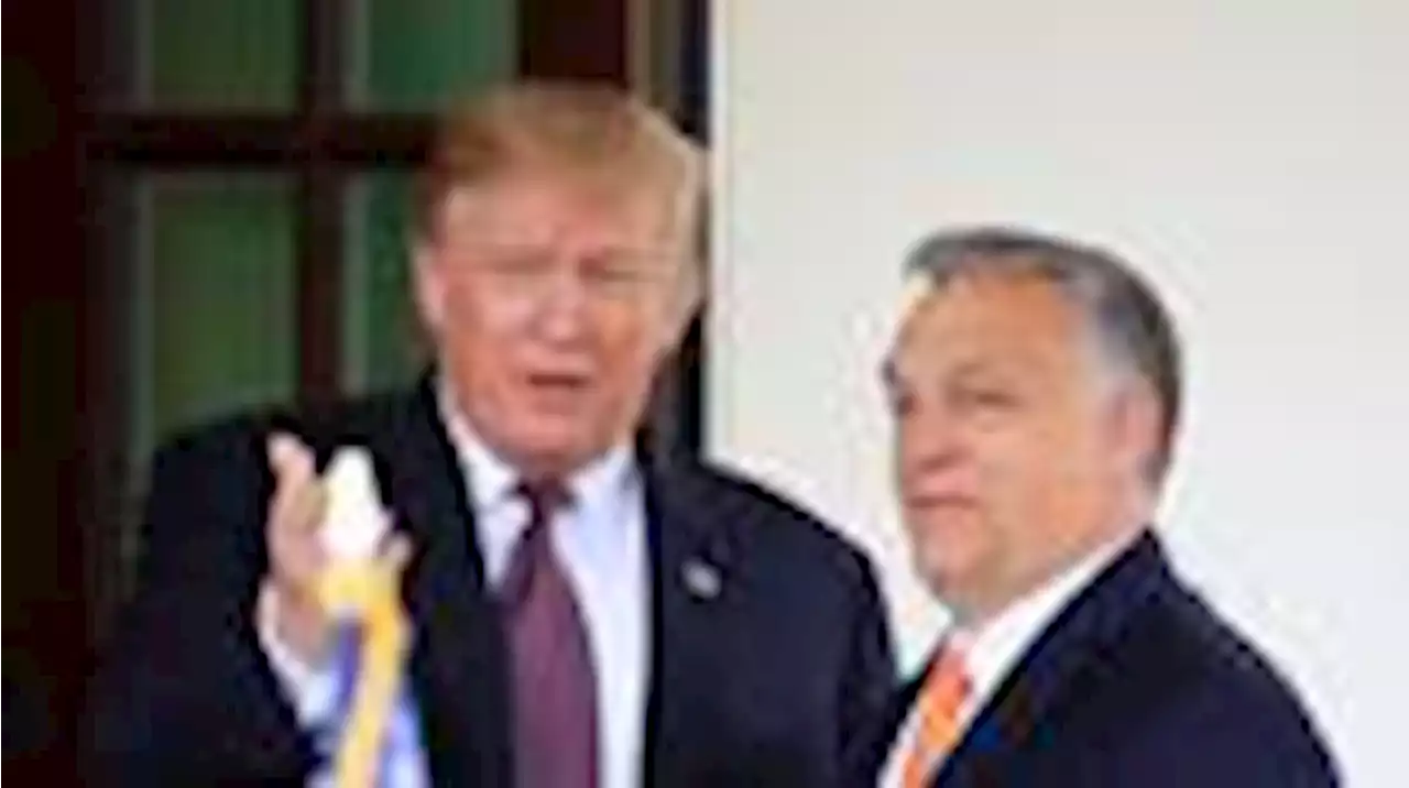 frieden in der ukraine? orban setzt auf trump