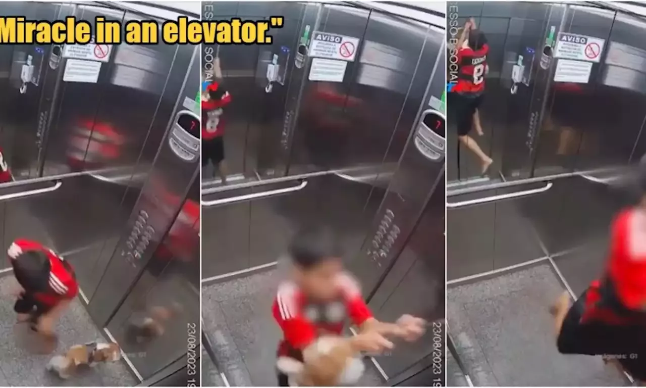 Little Boy Hangs Onto & Rescues His Pet Dog After Its Leash Got Caught in Elevator Doors