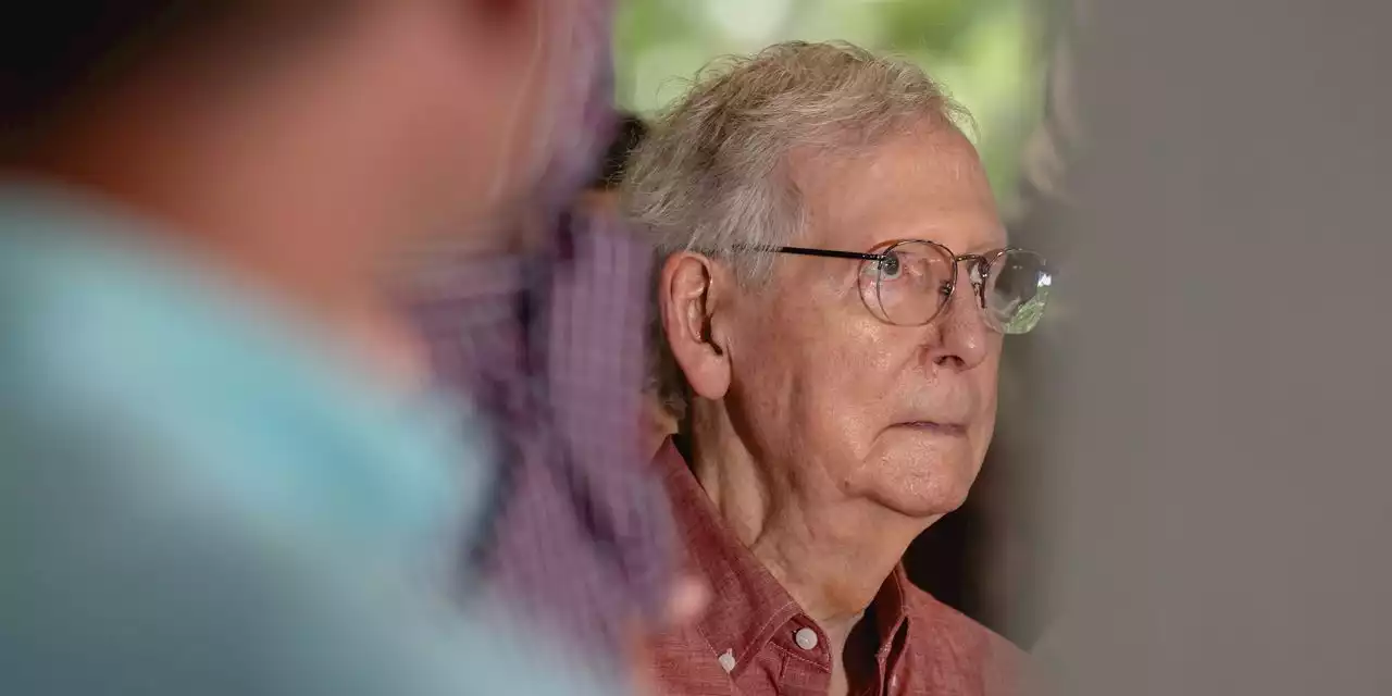 Mitch McConnell Freezes Again in Press Appearance