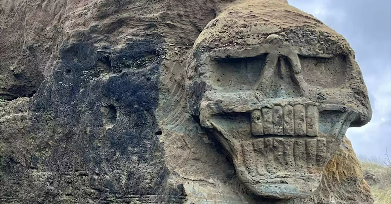 Mystery grows over rock carving on New Zealand beach