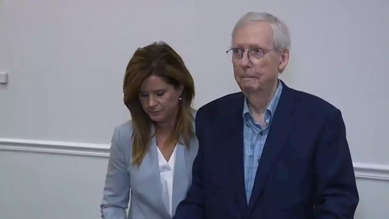 Senate Minority Leader Mitch McConnell appears to freeze in front of reporters